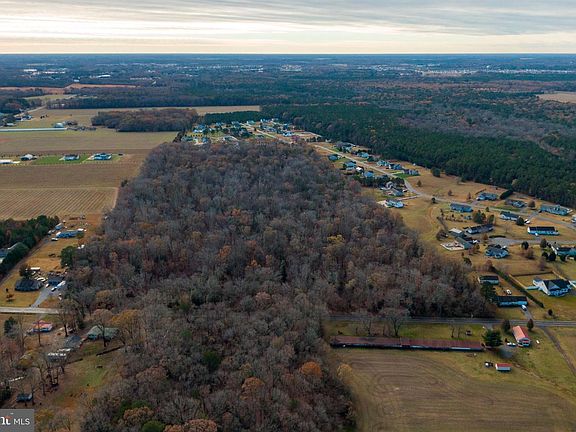 Dusk aerial of the Morris Mill parcel: a dense block of bare-canopy woodland rising above winter farmland in southern Delaware, with the horizon glowing at the top of the frame