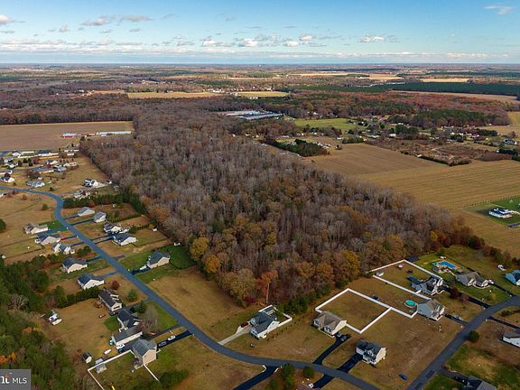 Daylight aerial of Morris Mill Road woodland: a long irregular shape of trees bordered on three sides by Sussex County farms, residential cul-de-sacs visible at the south edge