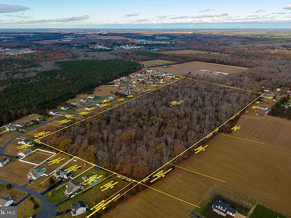 High-altitude aerial of the Morris Mill tract with the parcel outlined in yellow, showing the long diagonal shape of the woodland and the road grid of Millsboro stretching to the horizon