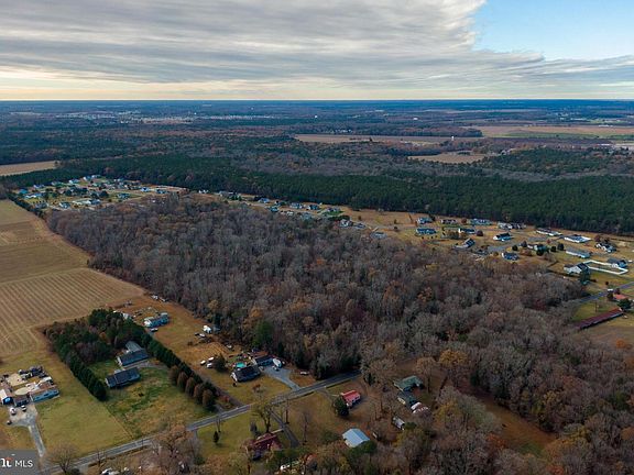 Aerial view at golden hour of Morris Mill Rd in Millsboro, Delaware: a 48-acre tract of mature woodland framed by Sussex County farmland under a soft horizon